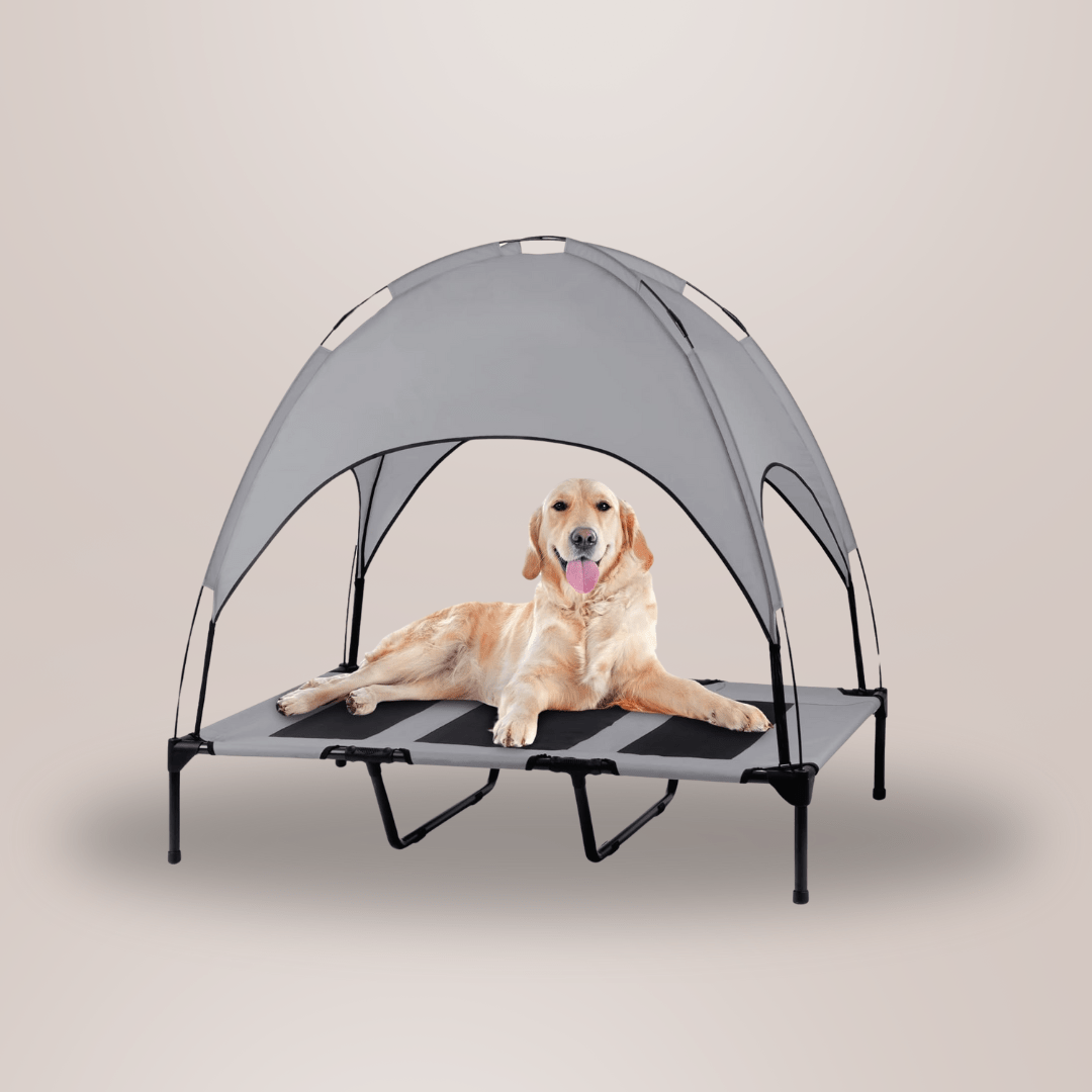 Canopy Portable Dog Camp